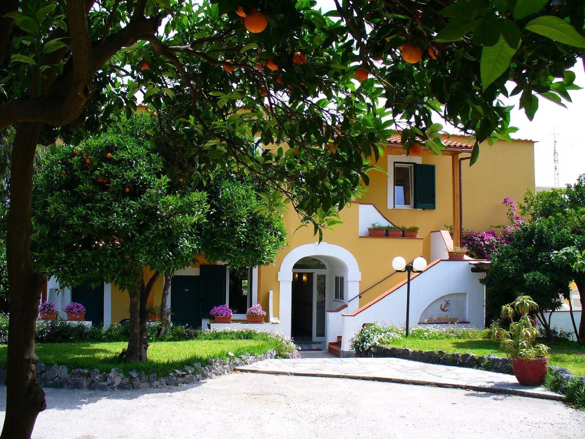 Hotel La Marticana Ischia Exterior photo